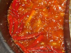 -蜀大侠火锅(总府路店)