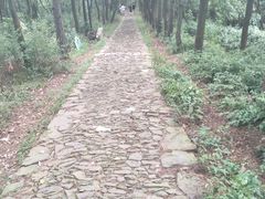 -雨花胜境