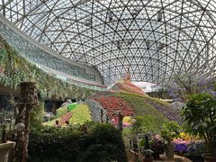 -花之城