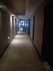 -颜和骨正·明哲式骨相美学整骨