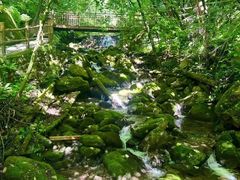 -青峰峡国家森林公园