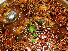 -味之绝热血美蛙鱼火锅(中坝店)