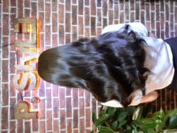 iphone_upload_pic-P.STYLE 派斯造型