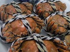 -丫丫蟹庄·苏式园林农家乐·阳澄湖大闸蟹(阳澄湖莲花岛店)