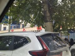 -掌上鲜(南顺城街店)