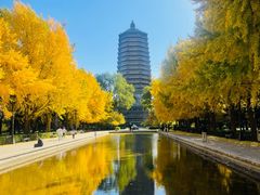 -玲珑塔公园