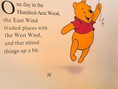 -小镇影院迪士尼小熊Duffy与他的朋友合影地