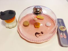 -三花喵·撸猫购宠·宠物生活馆(虹桥南丰城店)