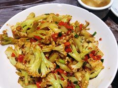 -壹盏灯(惠农店)