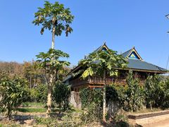 -西双版纳傣族园