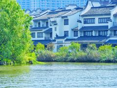 -长兴太湖图影湿地文化园