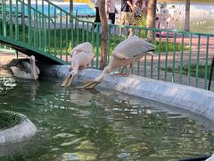 -水上乐园·欢乐世界