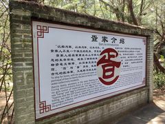 -北海金海湾红树林生态旅游区