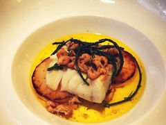 -迪拜帆船酒店海底餐厅