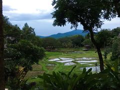 -四季酒店下午茶