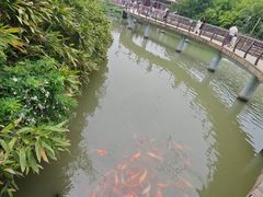 -南湾湖