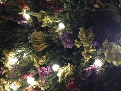 -华远汤泉