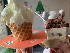 -野人牧坊Gelato(天津南开大悦城店)