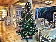 -Fern Forest Cafe