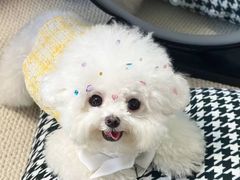 -美联众合动物医院·24h转诊中心