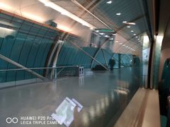 -龙阳路磁悬浮列车总站-停车场