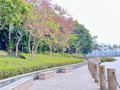 -南宁南湖公园