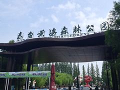 -黄海国家森林公园