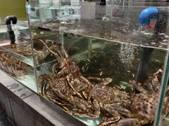 -万龙洲海鲜(大兴绿地缤纷城店)