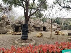-上海野生动物园