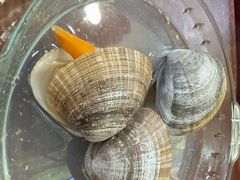-兴隆海鲜菜馆
