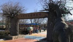 -大望京儿童游乐场