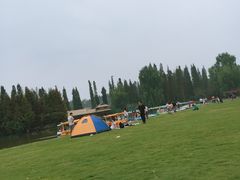 -秀丽东方