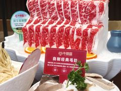 -牛鼎盛新疆雪花鲜牛火锅(武夷绿洲 店)