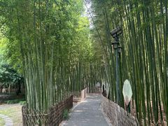 -陈家山荷花公园