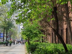 -天津五大道文化旅游区