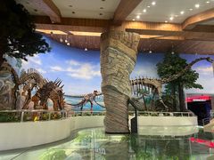 -延庆地质公园博物馆