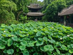 -三苏祠
