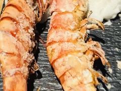 -森味薪火烧•烧鸟居酒屋•日本料理(望京店)
