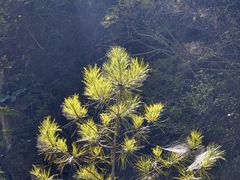 -十渡孤山寨风景区