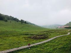 -关山草原