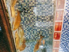 -顺德喜来登酒店·采悦轩