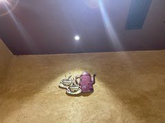 -汉巴味德自助餐厅(嘉定宝龙广场店)