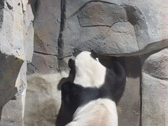 -栾川竹海野生动物园