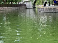 -团结湖公园