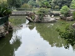-东湖落雁景区