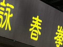 -温鉴良实用咏春拳