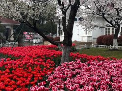 -玄武湖景区-情侣园游乐场