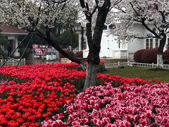 -玄武湖景区-情侣园游乐场