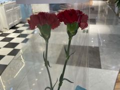 -泰禾馨·泰式按摩精油SPA(华荣大厦店)