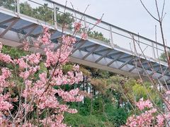 -狐尾山公园